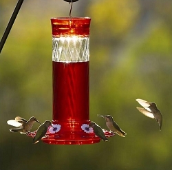 Diamond 30 oz. Hummingbird Feeder